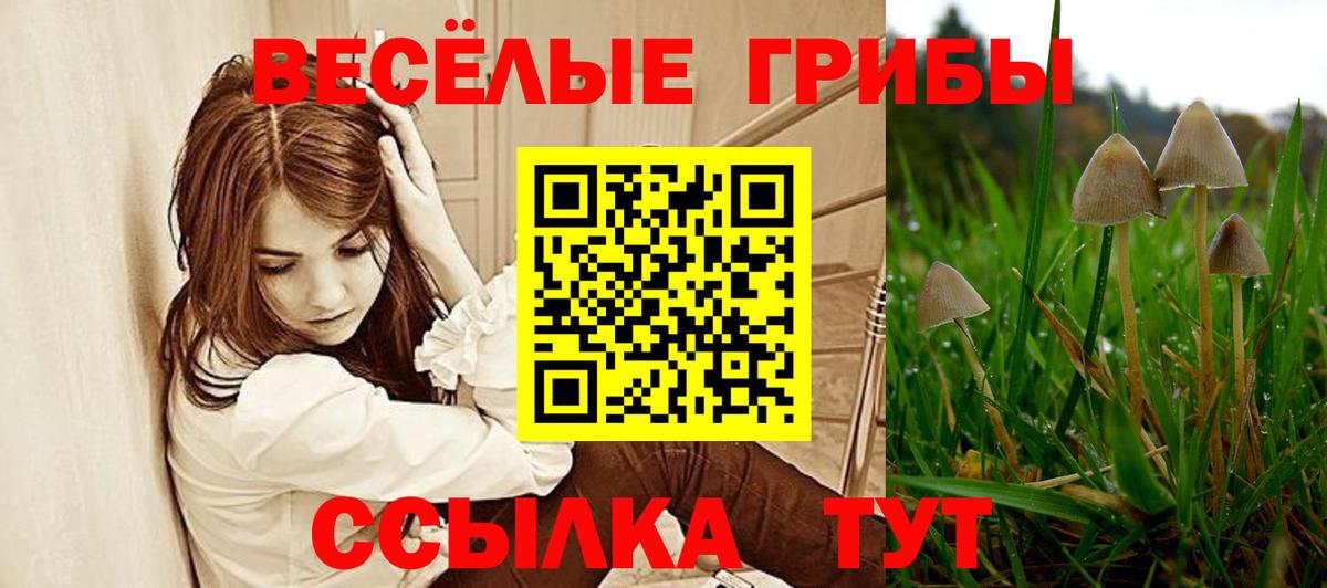 Галлюциногенные грибы Cubensis Тара