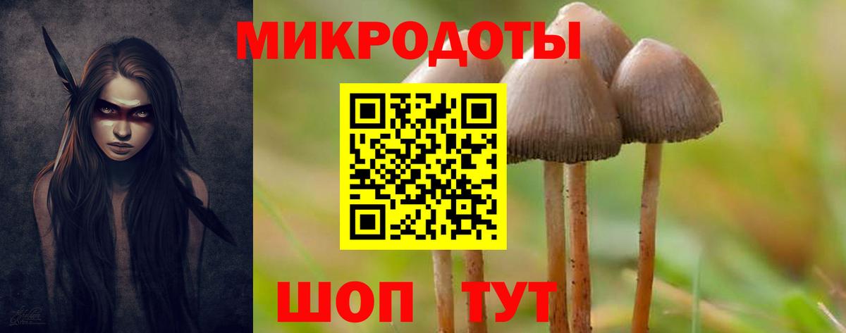 Тара  Галлюциногенные грибы Psilocybe  Псилоцибиновые грибы мухоморы  Вход с VPN 